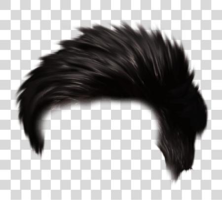 Download Hair Editing PNG file