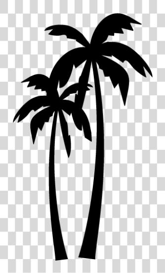 Download Coqueiro Egyptian Palm Tree Silhouette PNG file