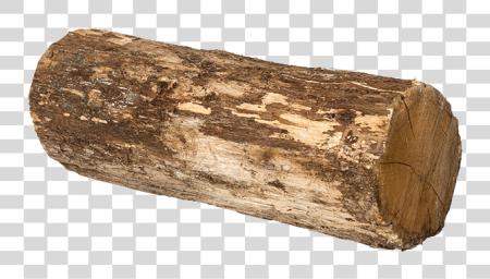 تحميل Tronco De Madera Imagenes De Troncos De Madera بي ان جي ملف