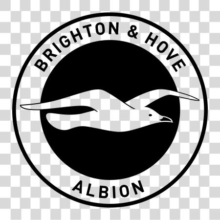 Download Premier League Brighton Hove Albion Logo PNG file