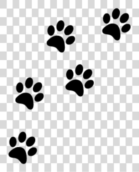 Download 233 Cat Paws PNG file