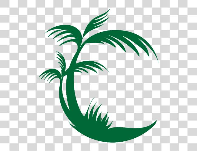 Download Palm Tree logotipo Palm Tree logotipo Clip arte