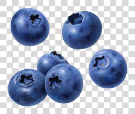 Download Blueberry Blueberry PNG file