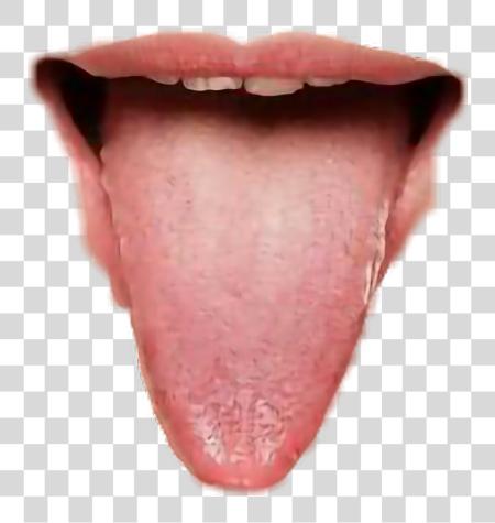 Download Tongue Ring Tongue PNG file