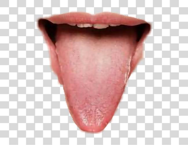 Download Tongue Ring Tongue Clip Art