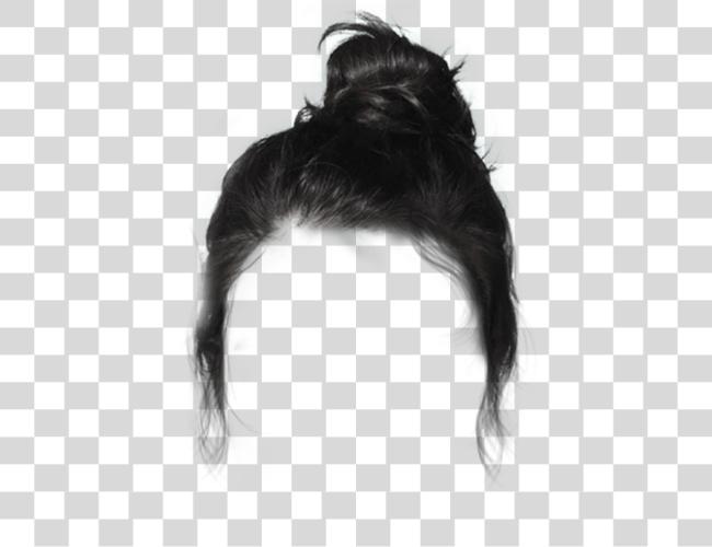 Download black bun hair dressup costume Lace Wig Clip Art