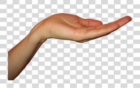 Download Single Hand Photo Holding Out Hand PNG file