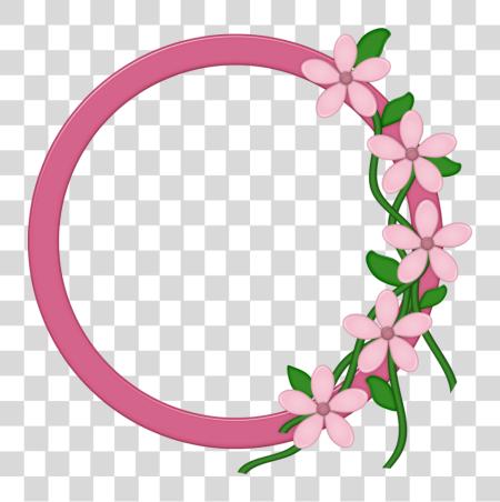 Download Pink Circle marco Circle marco Pink PNG file