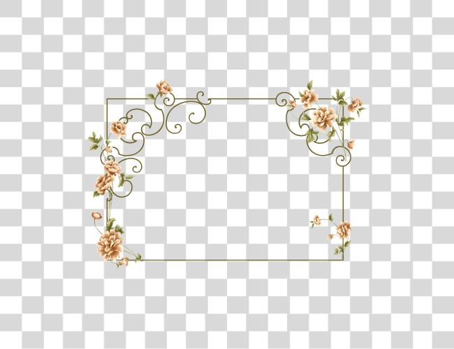 Download Peach flor marco Rectangle flor marco Clip arte