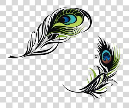 Download Peacock Feather logotipo PNG file