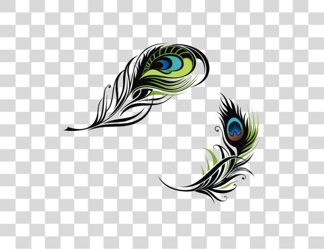 Download Peacock Feather Logo Clip Art