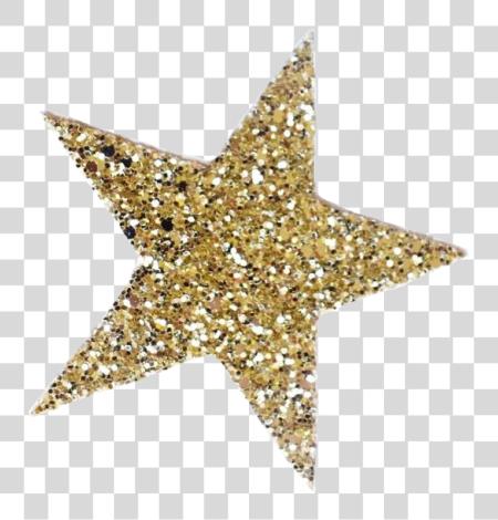 Download Gold Sparkly Star Freetoedit Sticker By Itsmemelena Galatasaray Logo PNG file