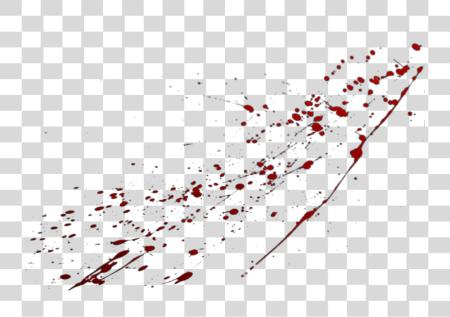 Download Https s3 Amazonaws Comfiles D20 1537581847 Blood Stain Pattern PNG file