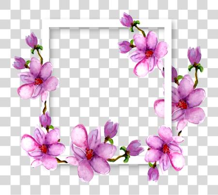 تحميل زهور Magnolia Border Frame ألوان مائية أرجواني Ftestic حدود و Frames بي ان جي ملف