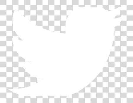 下载 Twitter Twitter 標誌 白色 Eps PNG file