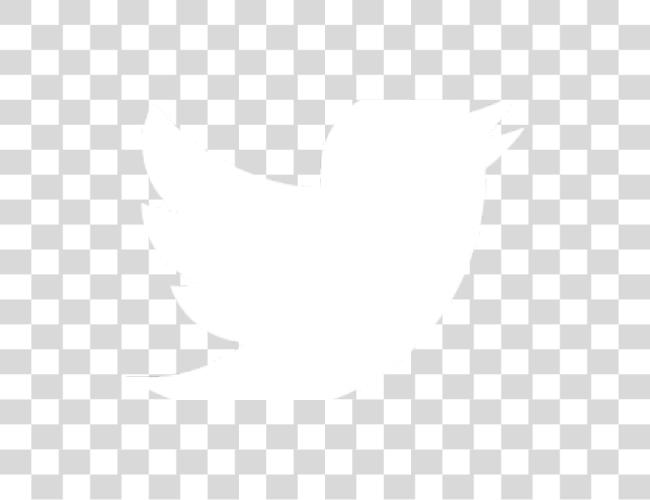 Download Twitter Twitter logotipo blanco Eps Clip arte