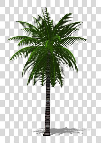 Download 3d Palm Tree Date Palm Tree PNG file