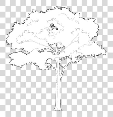 Download Tree Vectors White Tree Vector PNG file