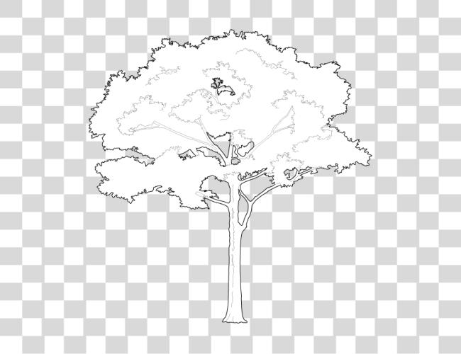 Download Tree Vectors White Tree Vector Clip Art