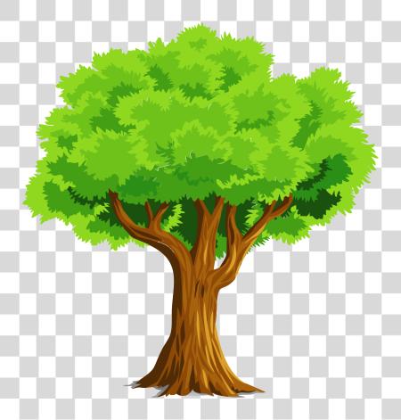 下载 多彩 天然 Tree 矢量 Clipart Tree Clipart PNG file