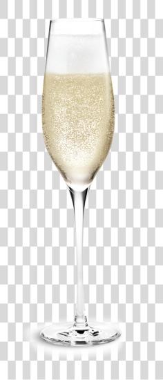 下载 Champagne Glass Wine Glass PNG file