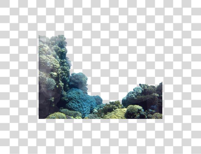 Download Coral Reef Coral Reef Clip arte