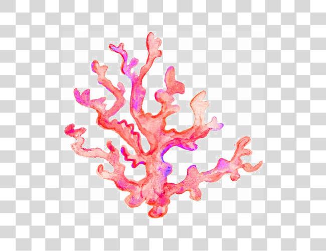 Download Coral Image Cartoon Coral Clip Art