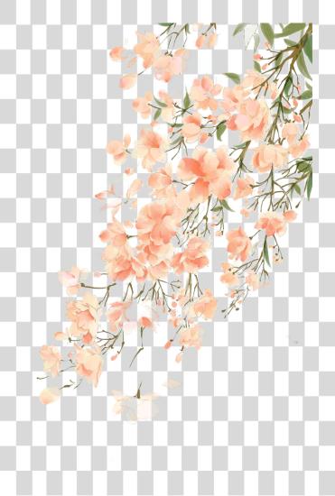 Download Beautiful Flower Illustration Antiquity Watercolor PNG file