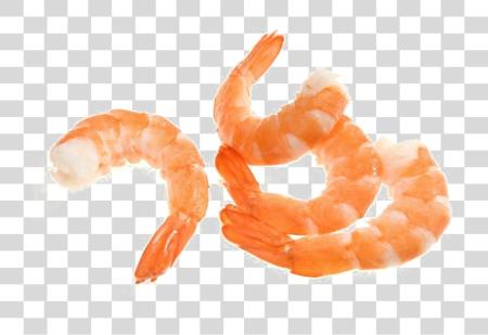 Download Shrimp Image Shrimp Mixed Species Raw PNG file