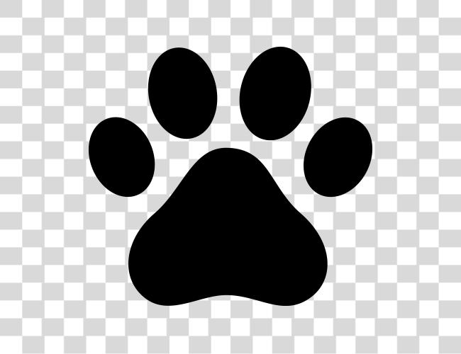 Download Medium Resolution Of Dog Paw Black Paw Print Dog Paw Print Clip Art