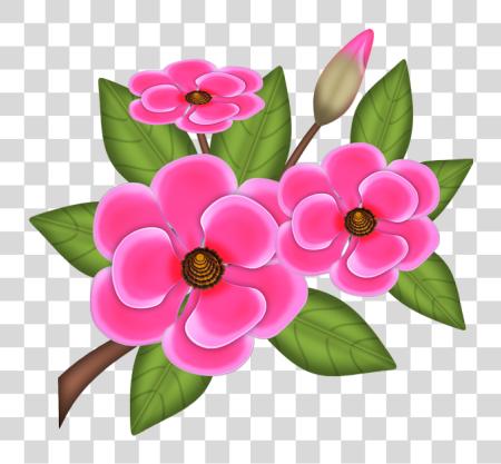 Download Flor Pink Arranjo De Flores Desenho PNG file