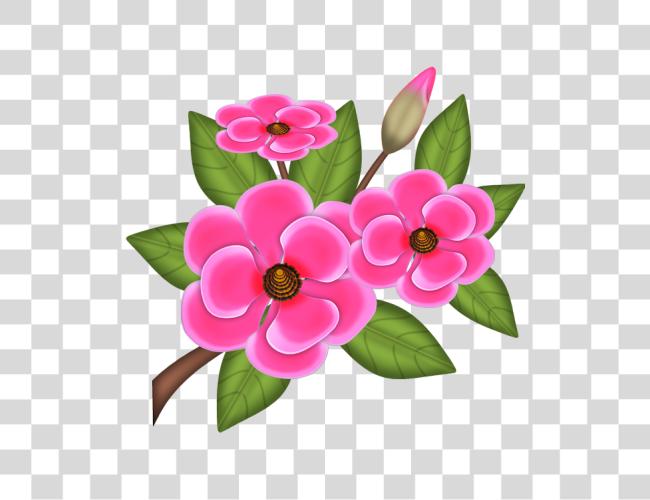 Download Flor rosa Arranjo De Flores Desenho Clip arte