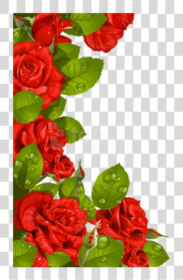 Download Red Roses Decoration For Frame Flower Borders Designs Red Roses PNG file