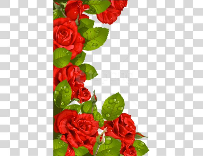 Download Red Roses Decoration For Frame Flower Borders Designs Red Roses Clip Art