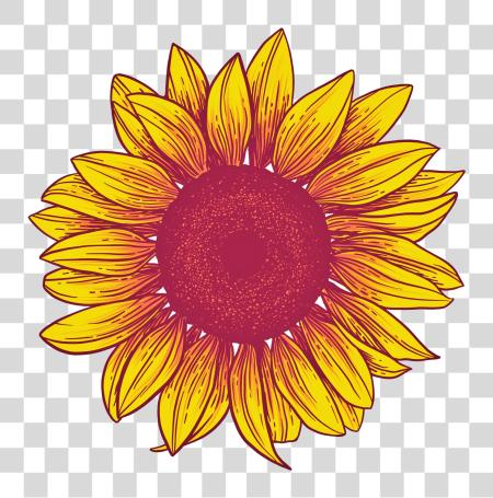 Download Sunflower Sunflower PNG file