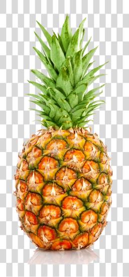 Download Pineapple PNG file