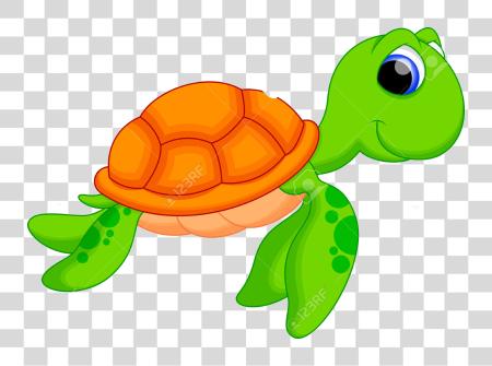 تحميل Turtle بحر Turtle كارتون بي ان جي ملف