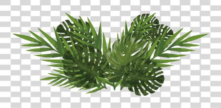 Download acuarela Plants Plants PNG file