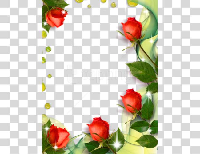 Download Beautiful Photo Frame With Roses Roses Borders And Frames Clip Art