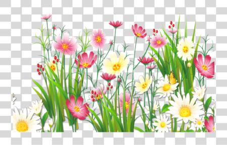 下载 Grass Grass 和 花 PNG file