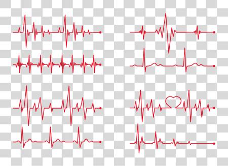 Download Heart Rate Electrocardiography Vector Heart Beat PNG file