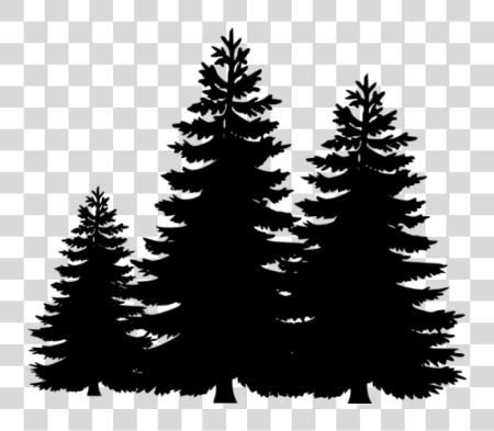 Download Permalink To Pine Tree Winter Silhouette Of A Pine Tree PNG file