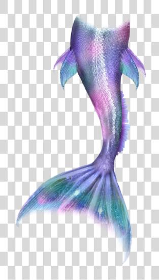 Download Mermaid Mermaidlife Mermaidtail Mermaids Merman Tail Glitter Mermaid Tail PNG file