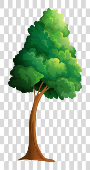 Download Cartoon Trees Picture Tree Cut Image Tree Summer Cartoon Trees PNG file