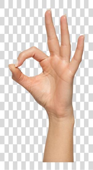 Download Ok Hand Sign Meme PNG file