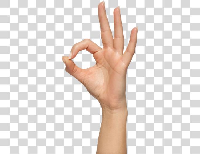 Download Ok Hand Sign Meme Clip Art