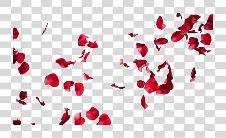 Download Rose Petals For Photoshop PNG file