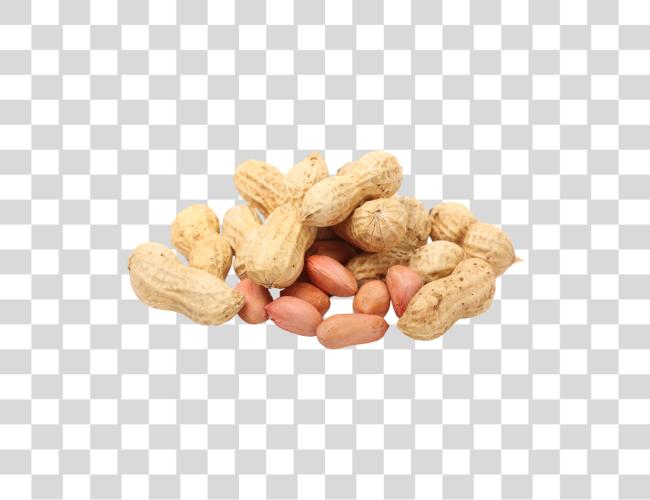 下载 Peanut Peanuts Clip 艺术