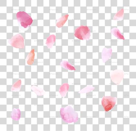 Download Falling Pink Petals Pink Rose Petals PNG file