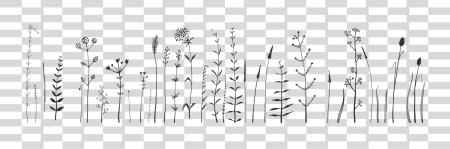 下载 Corn Plant 花 Doodle Designs Bullet Journal PNG file